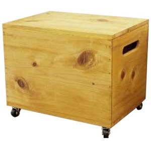 Ebh{bNX VW i` 35×25×29cm LX^[ ؐ Ђ̂ nhCh I[_[Ch