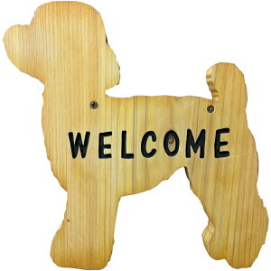 EGJv[g gCv[h 20×2×21cm i` VbvpTC{[h Ђ̂ ؐ nhCh I[_[Ch