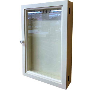 ANZT[P[X KX AeB[NzCg 25×7×40cm UtbNt ؐ Ђ̂ nhCh I[_[Ch
