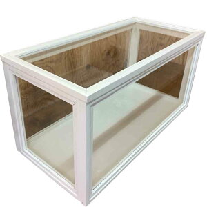 fBXvCP[X KX AeB[NzCg 49×23×25cm KXP[X ܖʃKX ؐ Ђ̂ nhCh I[_[Ch