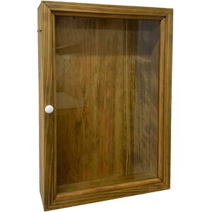 KXP[X Ǌ| KX AeB[NuE 32×10×46cm fBXvC ؐ Ђ̂ nhCh I[_[Ch