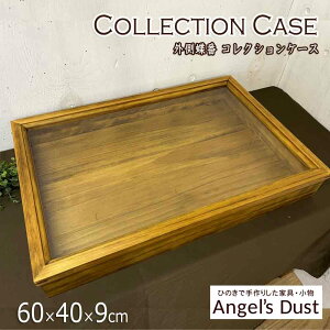 RNVP[X O ܂݂Ȃ 60×40×9cm KX ANZT[P[X ؐ Ђ̂ nhCh I[_[Ch