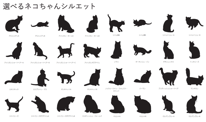 楽天市場】ペットのお仏壇 ミニチュアダックス短毛 アンティークブラウン 35x25x40cm 名前入り 白つまみ 引き出し 透明ガラス 木製 ひのき ハンドメイド オーダーメイド : エンジェルズ ダスト 楽天市場】ペットのお仏壇 ミニチュアダックス短毛 アンティークブラウン 35x25x40cm 名前入り 白つまみ 引き出し 透明ガラス 木製 ひのき ハンドメイド オーダーメイド : エンジェルズ ダスト