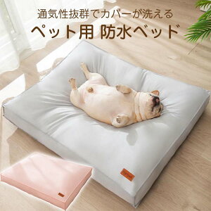 yԌIN[|2,741~zybgxbh 􂦂 h NbV 傫 45×30×8cm 55×40×9cm 65×50×10cm 80×60×11cm \ ybg xbh ӂӂ Ck lR  L 