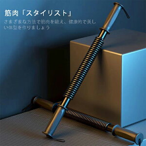 アームバー 大胸筋 筋トレ 器具 20KG 30KG 40KG 50KG 60KG 筋トレグッズ 上腕二頭筋強化 トレーニング用 (20KG)