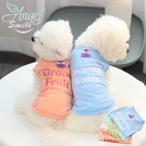  ̕ tėp ėp ȐTVc Vv pvg^Ngbv   ybgEFA hbOEFA ybg TVc m[X[u o| L 񂱗p ɂ񂱗p