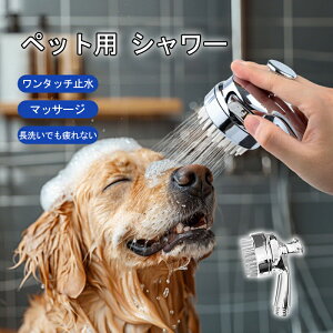 ybgpV[ yX[  L bNXV[ wbh VR uV }bT[W я ͂˖h~ Lp