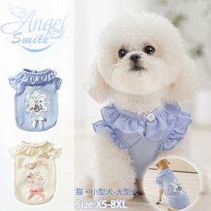  TVc t  ^ ^Ngbv m[X[u 킢 _炩 hbOEFA xXg q ` L Eѕی m U ybgpi