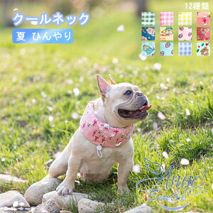   N[lbN lbNN[[ ΍ MǑ΍  Ђ ₷ N[lbN ^ ^ ^ ^ p U o Ăh~