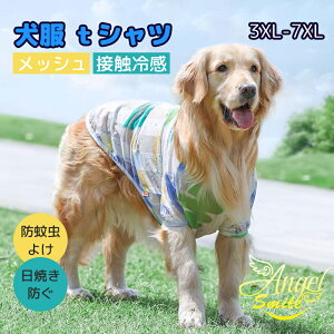 ^ ڐG⊴ bV ^N ё΍ ^Ngbv ̕ tIurK[  ĕ N[ Ђ ڐG⊴  h EȒP Lk  ʋC Eѕی z M