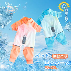 ̃pW} p[X Ȃ tēKp ybg 4{ ڐG⊴ UPF 50+ Ăh ʋC _炩  킢 hbOEGA TVc  ^ ^ m [EFA