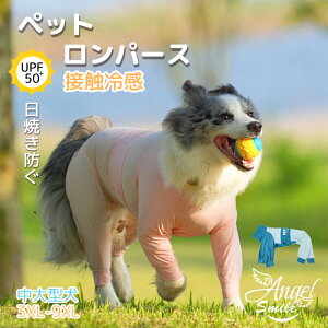 ̃pW} p[X Ȃ tēKp ybg 4{ ڐG⊴ UPF 50+ Ăh ʋC _炩  킢 hbOEGA TVc  ^ m [EFA QԒ