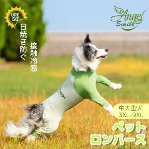 ̃pW} p[X Ȃ tēKp ybg 4{ ڐG⊴ UPF 50+ Ăh ʋC _炩  킢 hbOEGA TVc  ^ m [EFA QԒ