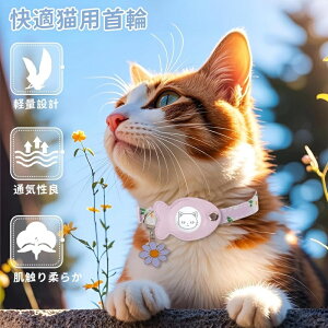 Airtag gpsLp SuCNAEFCfUC  Lp ^GA^Oz_[ yʐ݌v xt  h~ \ ϋvf