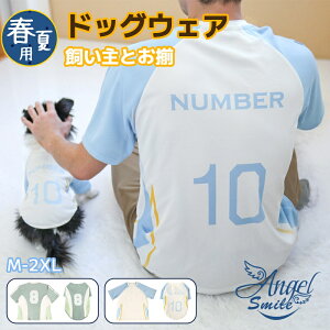  ybg eqR[f hbOEFA TbJ[jtH[ t tVc bV xXg  ʋC ^Ngbv L  Ăh _炩 ybgpi Lm Eѕی 