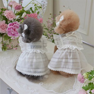  ybg s[X [X    ʋC  m 킢 Pl [X XJ[g hX hbOEFA ̕ RX`[ lC t@bV ^ ^ 