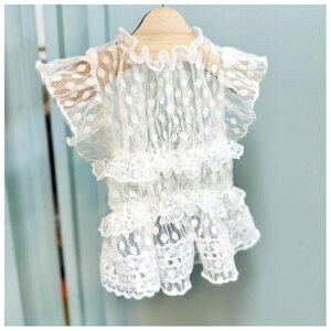  s[X t [X hbg tAbv hbOEFA ̎q hX 킢  nClbN [XhJ ^ ^ L m ybg ʋC Pl U o LO