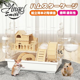 ハムスター用ケージ 2階建て 透明ケージ アクリルプラスチック製 モルモット ゴールデンハムスター 小型ハムスターケージ 回し車 掃除しやすい ファッションデザイン 無垢材製耐噛みハウス