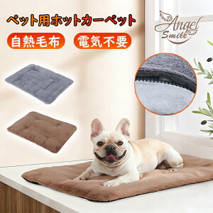 zbgJ[ybg ybgp dCsv Iۉ zbg}bg ybg}bg g ̉Œ~M ybgpۉ}bg L  ȔM}bg ӂӂ  g[ ybgMpbh h