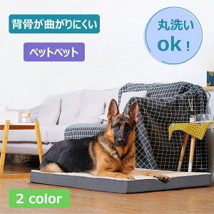  L xbh ybgxbh łjȂpxbh ybgNbV ~ߕt 􂦂 L  NbV  ֐߃T|[g xbh I[V[Y ~ėp \t@ xbh V