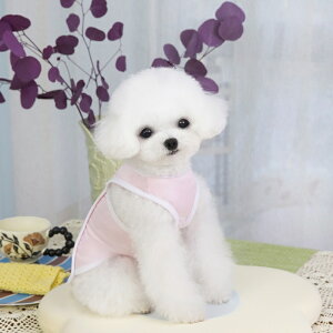 pN[xXg ⊴ pxXg ЂxXg pĕ pR[g ʋC MǑ΍ Ăh oU ^ ^