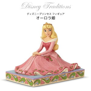 オーロラ姫 誕生日の人気商品 通販 価格比較 価格 Com
