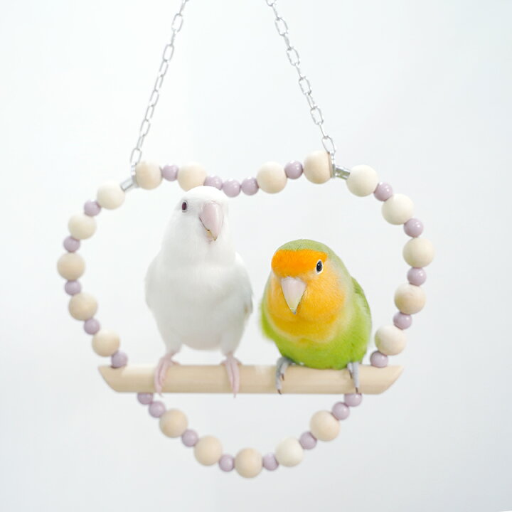楽天市場】小鳥用 パーチ 小鳥 グッズ 可愛い ウロコインコ 