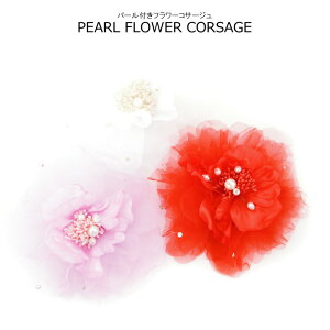 hX p[eB RT[W  ̃R l  sAm  \  wAANZ ܎O q ߃LbY  p[tt[RT[W ANZT[ S3F t[TCY 