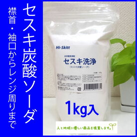 楽天市場 重曹 セスキ炭酸ソーダ 過炭酸ナトリウムの通販