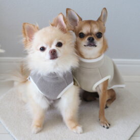 柴犬の防寒着｜犬用の寒さ対策冬服のおすすめを教えてください