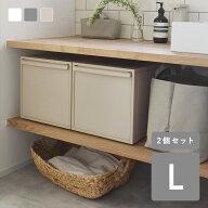 【L×2個セット】クローゼットシステム／クローゼット 収納 ケース クローゼット 収納 引き出し 衣装ケー…
