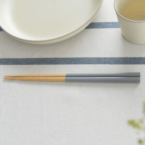 yJg[10OFFN[|z H@Ή ׂȂ   ͂ 23cm VR { Yh ~ߕt ₷ R aH mH 킹₷ Vv n  j 