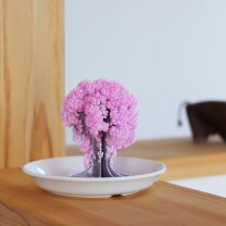 楽天市場】桜（インテリア小物・置物｜インテリア・寝具・収納）の通販