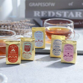 サンチャ ミニゴールデンパッグティー インド産/紅茶 ギフト おしゃれ インド政府御用達 ギフト プチギフト プレゼント 手土産 贈り物
