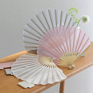 VA[ q P[Xt/q fB[X   ܂肽/RICCAyz