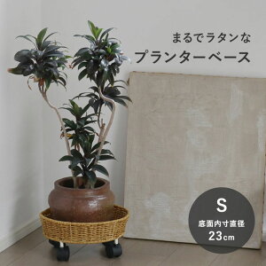 ySTCYzeB LX^[t v^[x[X^ϗtA X^h  ϗtA X^h LX^[ ϗtA X^h   v^[   u L