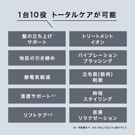 スカルプDNEXT＋スタイルエレブラシ|EMSLED赤青低周波高周波頭筋首デコルテ美顔器人気おすすめ売れ筋ギフトネクスト電気ブラシEMSイオンヘアスタイル