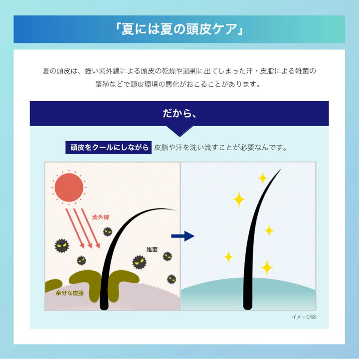 楽天市場 化粧品 スカルプdネクスト スカルプシャンプーオイリークール プロテイン5 男性用 メンズ ふけかゆみ すかるぷd Scalp D スカルプシャンプー 男性 スカルプ 頭皮 ギフト プレゼント ノンシリコン ノンシリコンシャンプー 頭皮ケア アンファーストア 楽天市場 化粧品 スカルプdネクスト スカルプシャンプーオイリークール プロテイン5 男性用 メンズ ふけかゆみ すかるぷd Scalp D スカルプシャンプー 男性 スカルプ 頭皮 ギフト プレゼント ノンシリコン ノンシリコンシャンプー 頭皮ケア アンファーストア