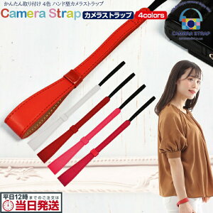 {7%OFFN[| JXgbv U[ nhXgbv v | J Xgbv ჌t RfW ~[X  Vv fUC Cxg Be