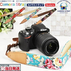 {7%OFFN[| ԕ t[ JXgbv | J Xgbv ჌t RfW ~[X ㋉  ꉟ  Jxg