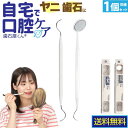 店長の助けて下さいクーポン 歯石屋くん(R) | 歯ブラシでは落ちない歯垢やヤニを除去 歯と歯ぐきの健康を保つ セルフ…