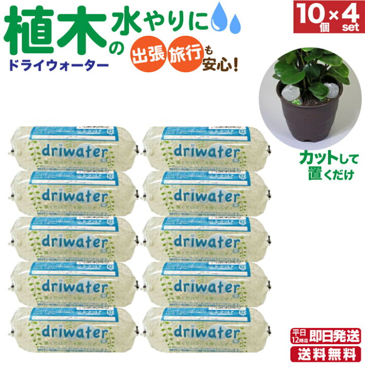 楽天市場 ドライウォーター10個 4セット 出張や入院など家の留守 花壇の水やりの心配 出張 留守 出張 水やり 出張 観葉植物 入院 準備 入院 水やり 入院 出産 家 花壇 水やり 花壇 水やり 留守 花壇 水やり 自動 花壇 花 育たない 美と健康の専門店 アンジー
