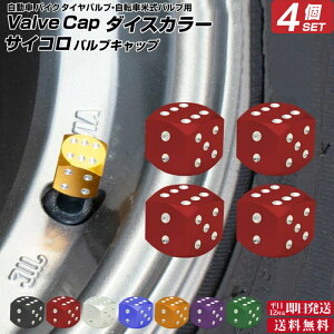 В΍N[| _CX J[ TCR ouLbv 4Zbg |  ^C ouLbv GA[ouLbv GAouLbv 킢 ԗpi J[pi
