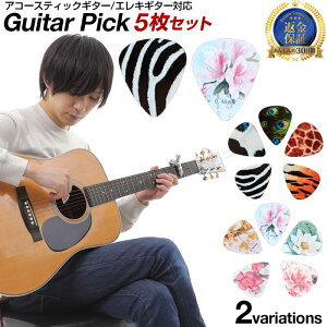 ピック 楽器周辺用品 おしゃれ ギターの人気商品 通販 価格比較 価格 Com