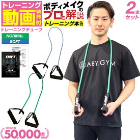 楽天市場 トレーニングチューブ おすすめの通販