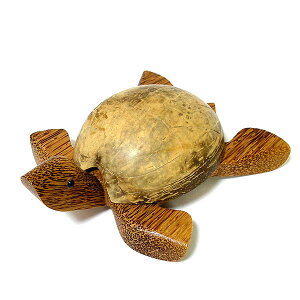 DM RRibc q T CG[ L S 20cm ȊDM Wt  AWA G o G ^C G AWA CeA