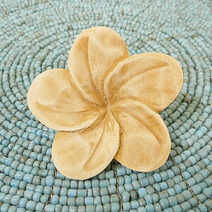 ؒ̃tOXt[ vȂ A A}fBt[U[ AWA G o G ^C G AWA CeAyyMt_z