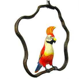 楽天市場 オオハシ 鳥の通販