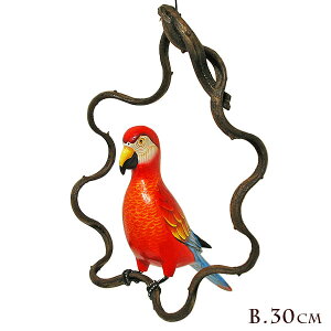 썑̃Jto[h ݂艺 ؂̘g Bm̒30cm] AWA G o G ^C G AWA CeA