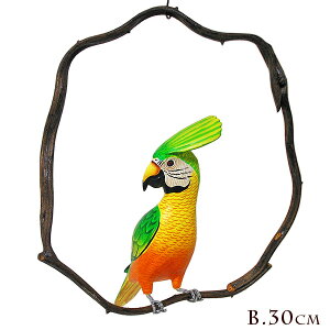 썑̃Jto[h ݂艺 ؂̘g Gm̒30cm] AWA G o G ^C G AWA CeA